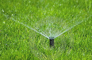 Sprinkler Service